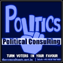 Political Consulting Services