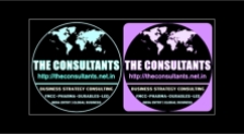 The Consultants Business Consultant